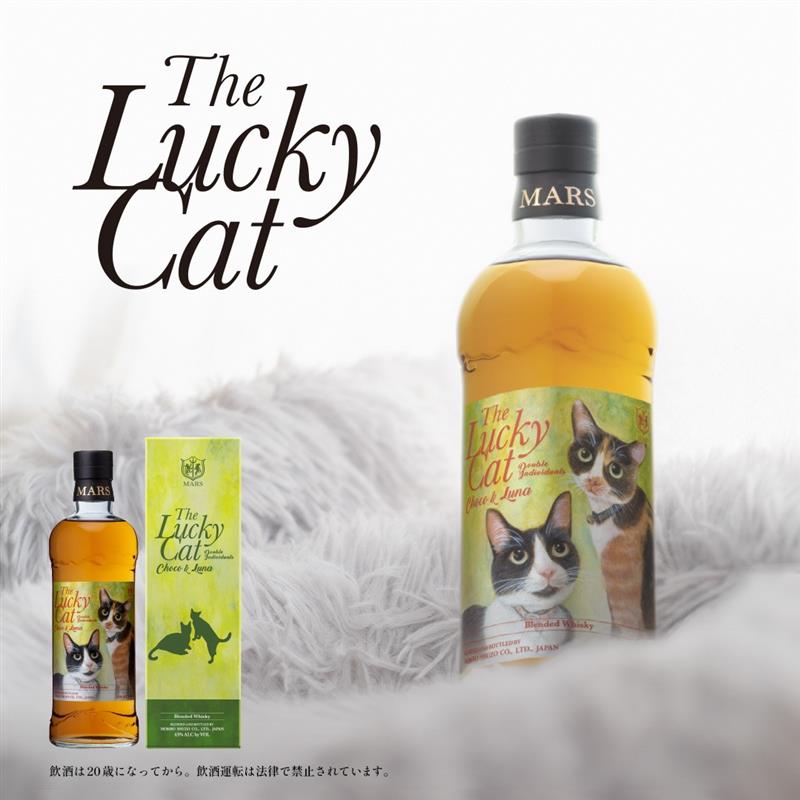 2月22日は #猫の日🐈 ＼ #本坊酒造 には、The Lucky Cat という