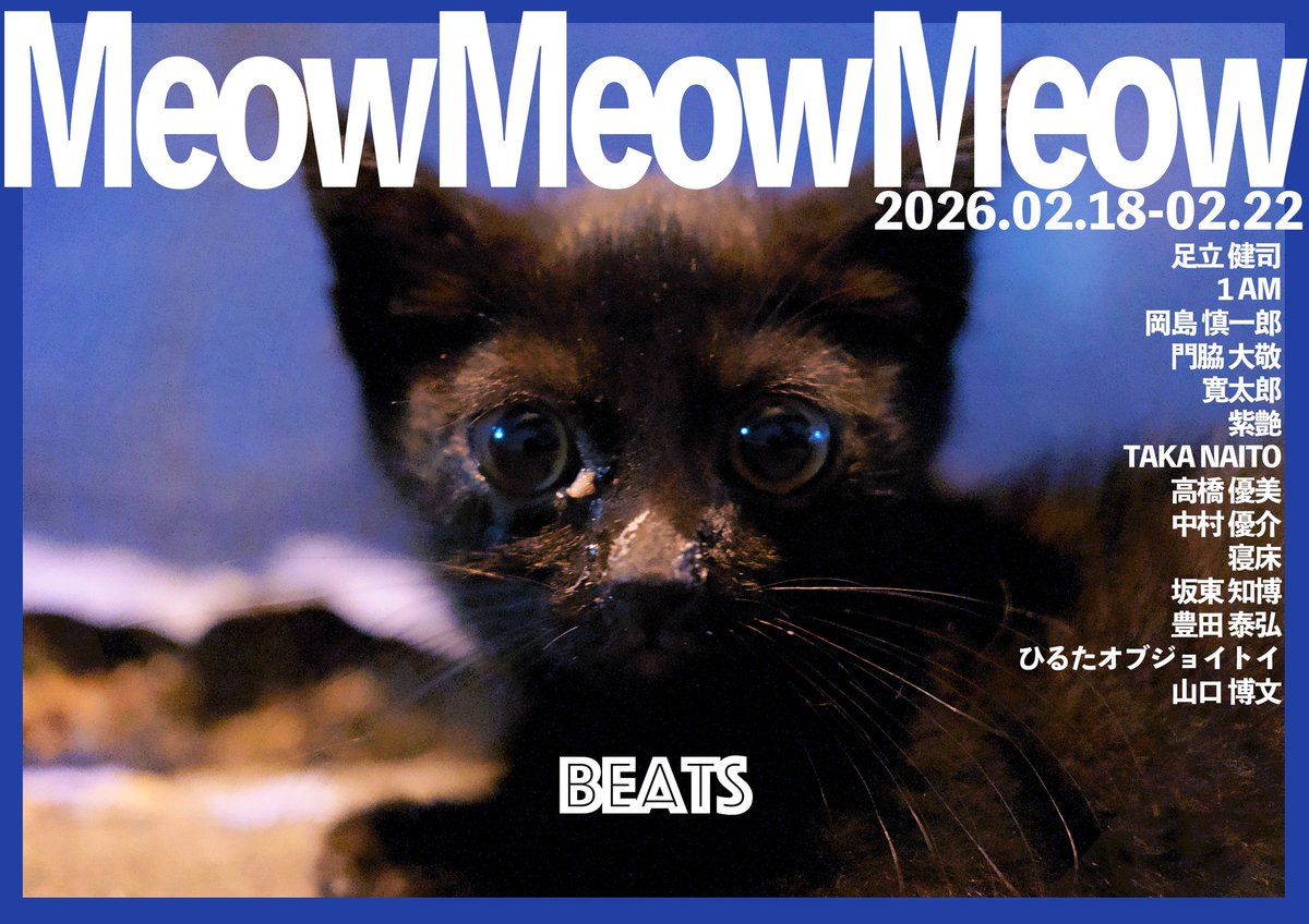 Notice of exhibition
「MeowMeowMeow」
BEATS 2026.02.18-02.22
明日より「MeowMeowMeow(猫展)」がスタートします。

猫にレンズを向けても必ず逃げられる…
まともに写せたことは一度もない。
そんな私が何故か展示します。

今里ビーツさんでは最後の出展となります。