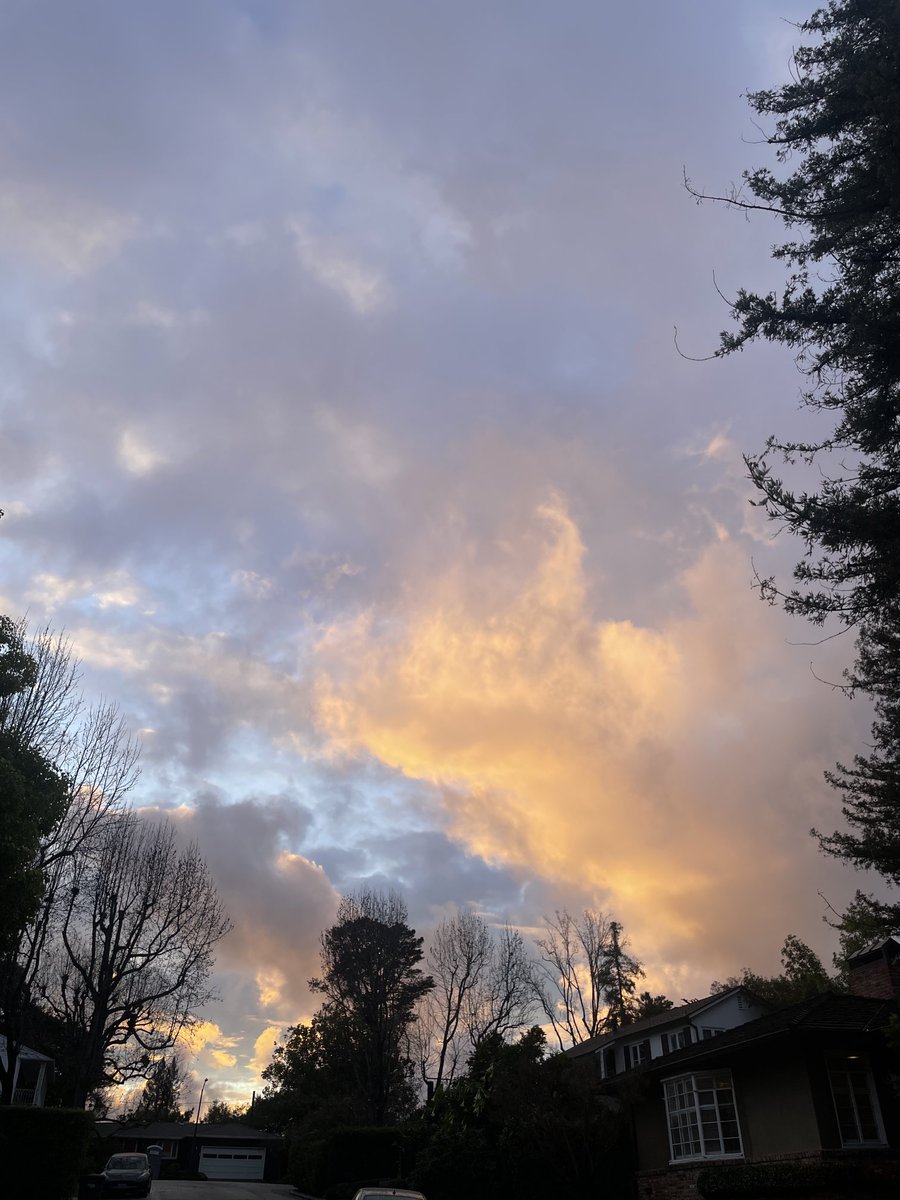 walkinglife tweet media