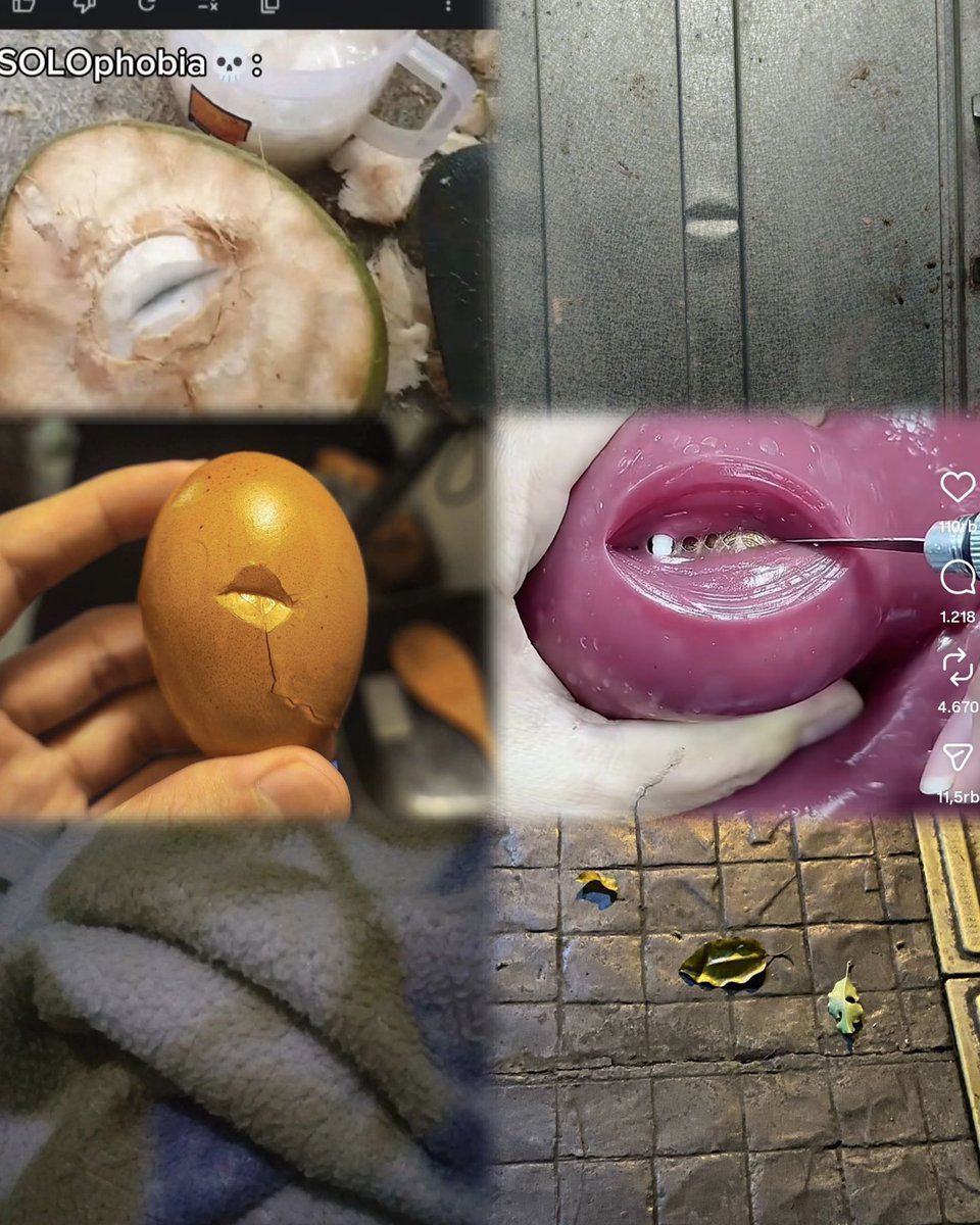 UdangRebon tweet media