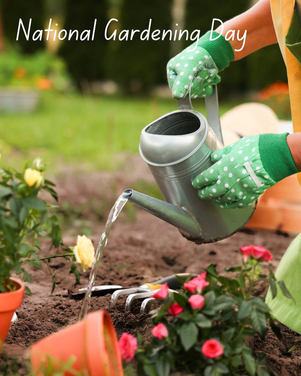 NEHarvest's tweet photo. Sharpen your tools. Collect your seeds. Prepare your beds. It’s time to plant! #nationalgardenmonth #nationalgardeningday #northeastharvest #buylocal #supportourfarmers #farmergeorge #mafarmers #supportlocalagriculture #MAFarms #buyfresh #farmersmarkets #aquaculture #foodsafety https://t.co/lNffdUjx3Y