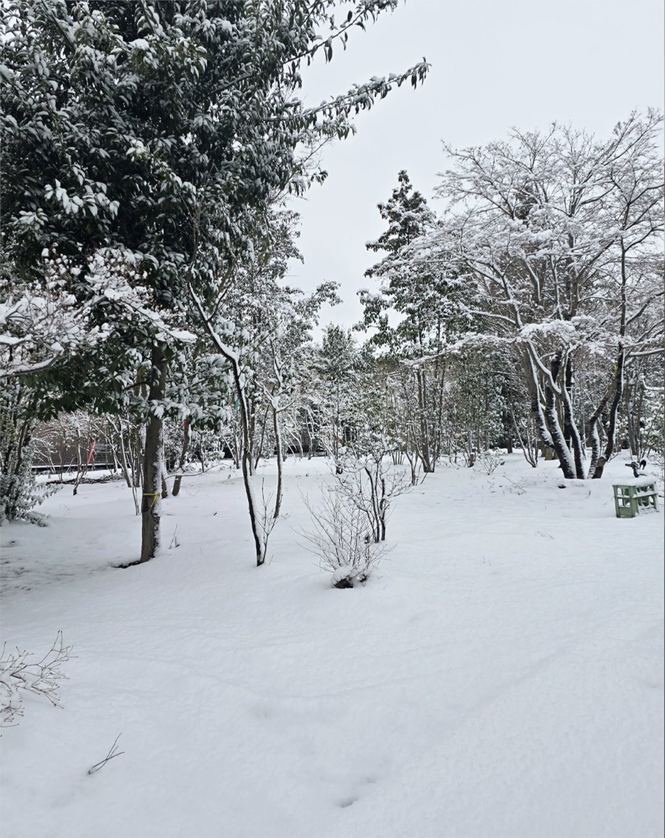 Snapdragon_JPN's tweet image. #ShotOnSnapdragon の2月テーマは
 #FebruaryFrames ⛄

ふと目にした雪景色も、写真に残せば特別な瞬間に📸