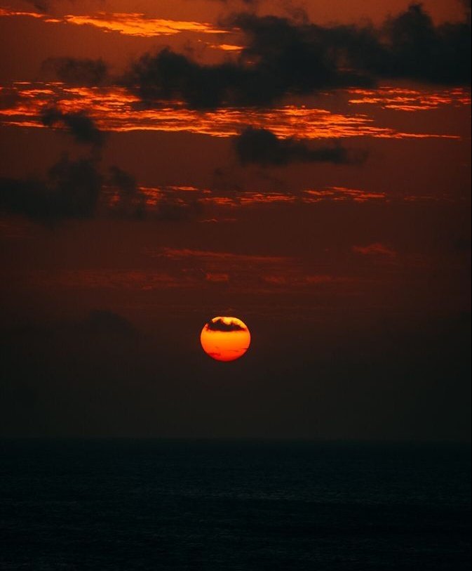 2025pics's tweet image. 