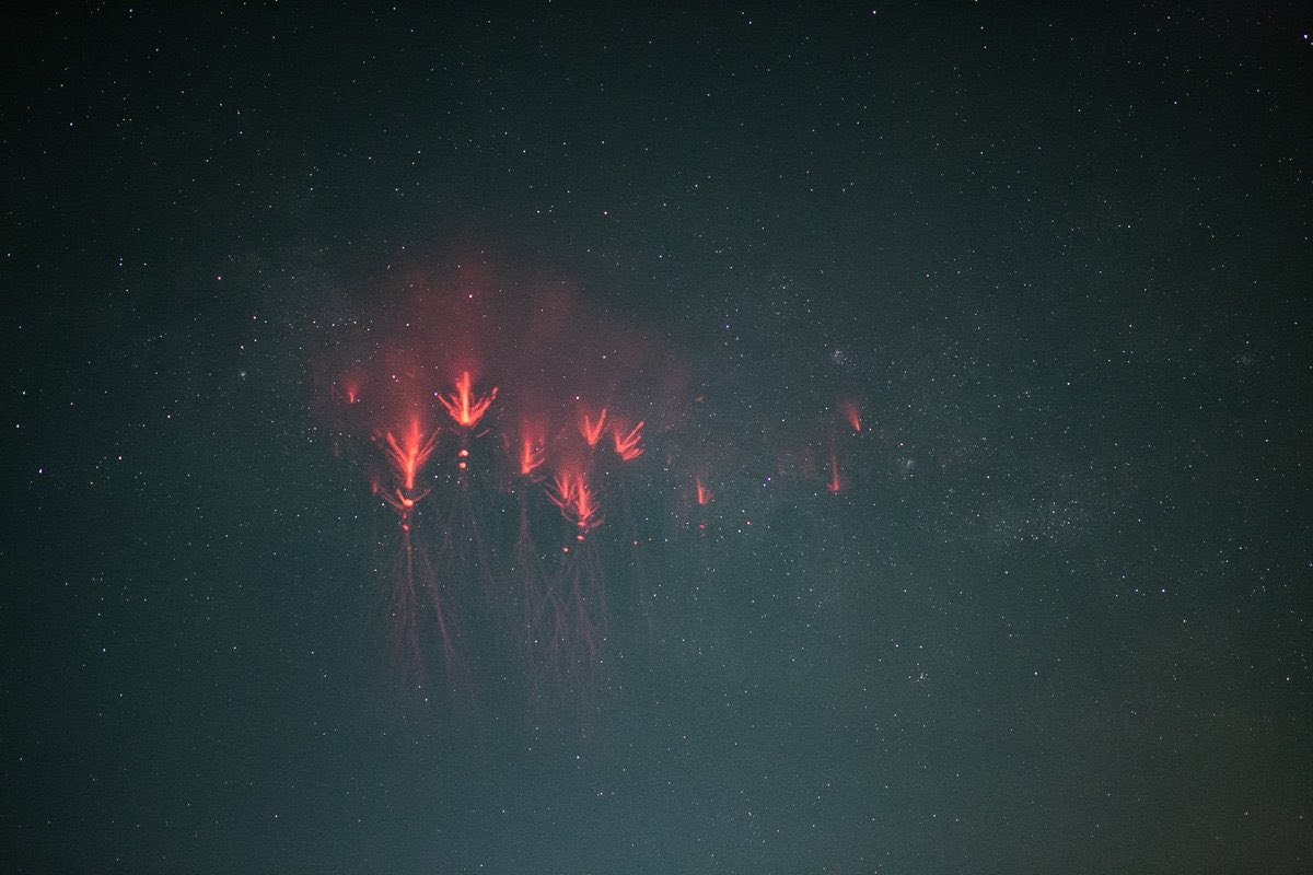 astro4pics's tweet photo. Red sprites https://t.co/AFcTlzw1Pi