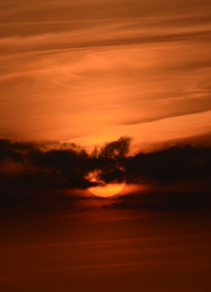 2025pics's tweet image. 