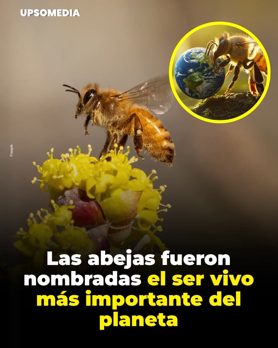 magdala (@silmagdala) on Twitter photo 