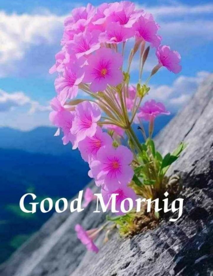 Good morning everyone 

Can I get GM back? 

Let's connect and grow together