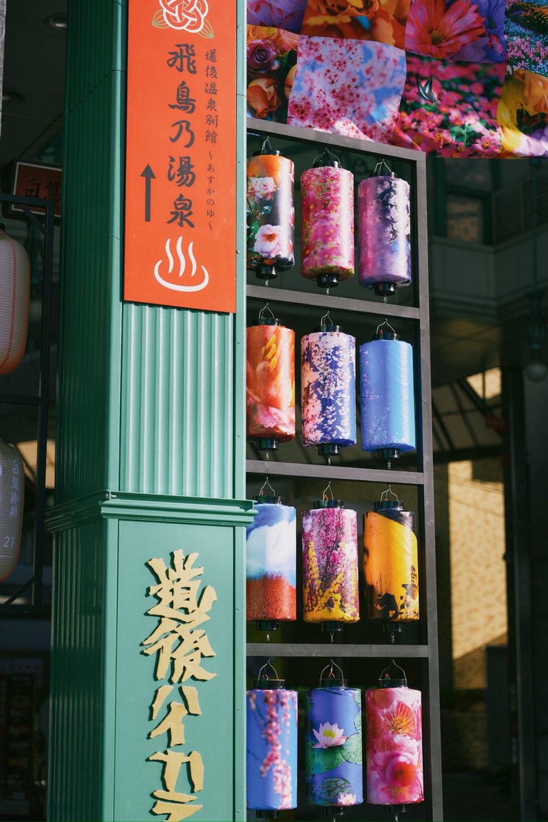 蜷川実花 with EiM×道後温泉 DOGO ART (@dogoonsenart) / Posts / X