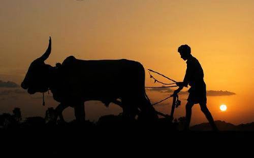 साथ तैयारी के वक्त देखा जाता है
बाकी जीत के बाद तो गली के कुत्ते भी नाचते हैं