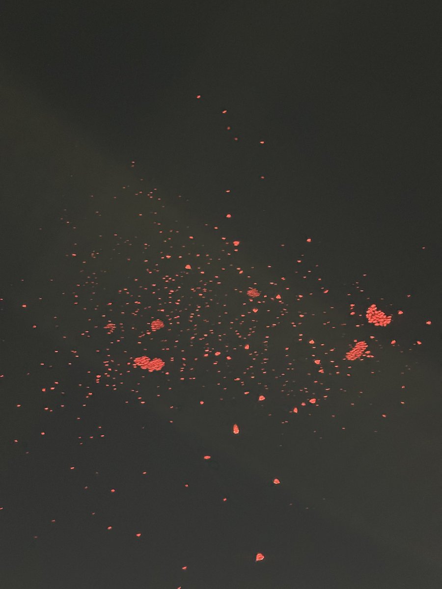 Mocidadeeeeeee o meio ambienteeeeee