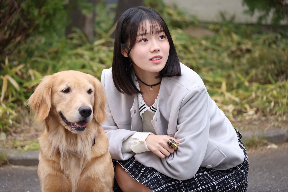映画ナタリー tweet media