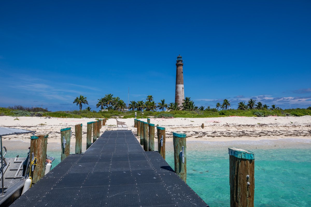 DryTortugasNPS's tweet image. Fee Free Day at Dry Tortugas National Park for U.S. citizens and residents this Presidents Day! Explore Fort Jefferson, snorkel, birdwatch. 🌴 #DryTortugasNationalPark #DryTortugas #FindYourPark #FeeFreeDay #PresidentsDay