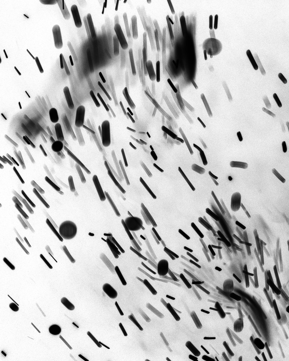 電子佈告欄(IchiZo) tweet media