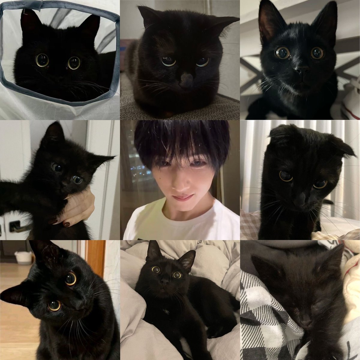 🤍                                               🖤