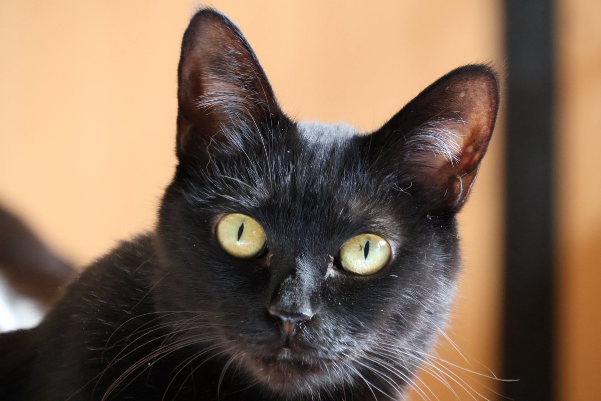 こんなんなんぼあっても良いですからね