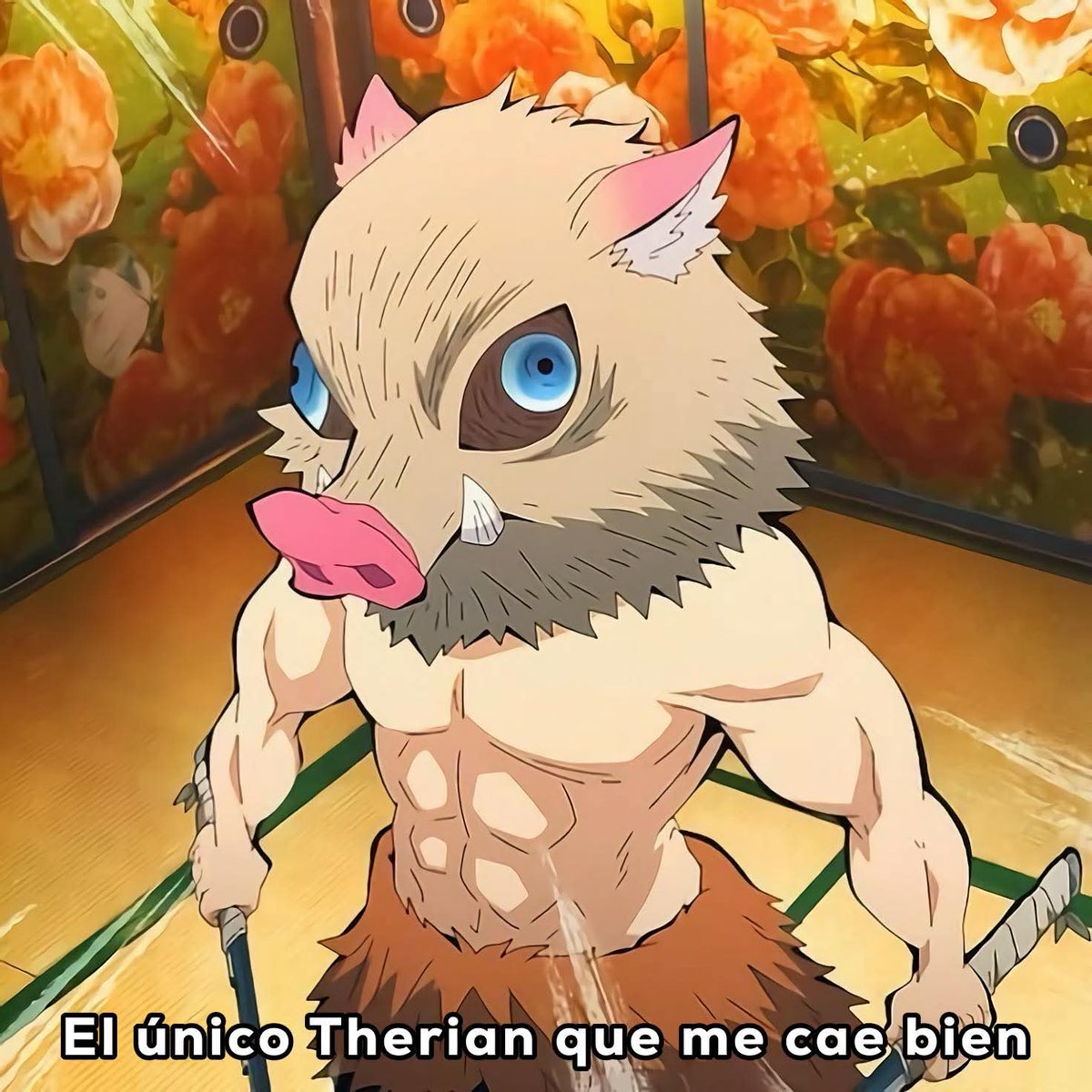 angelo_uf's tweet image. 