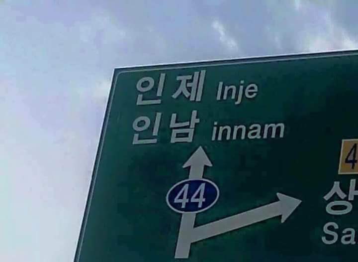 말랑쥐 tweet media