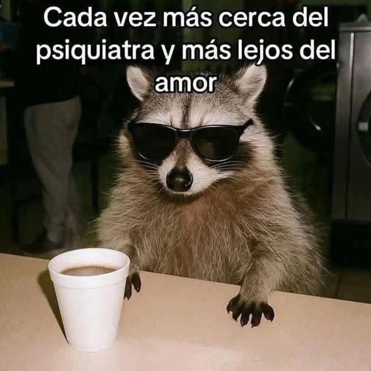 Lonely🥀 (@angelo_uf) on Twitter photo 