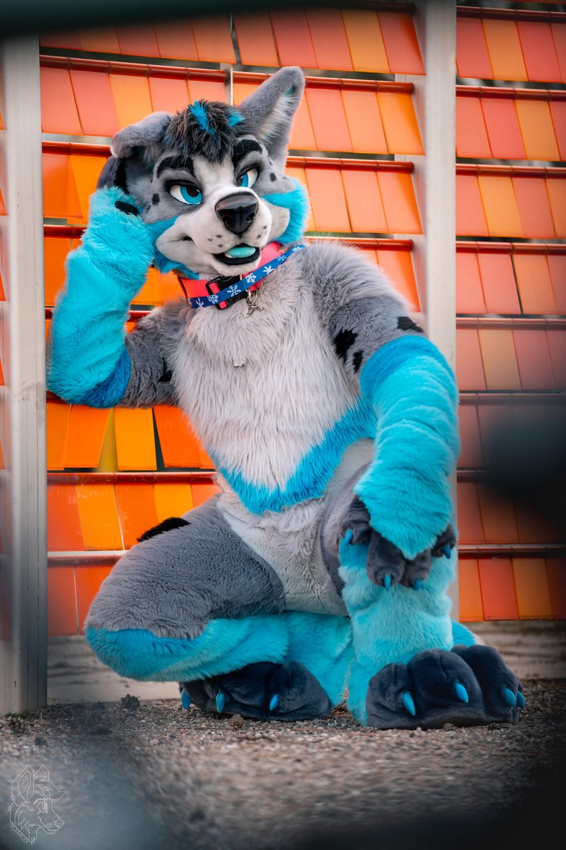 Subwoofer tweet media