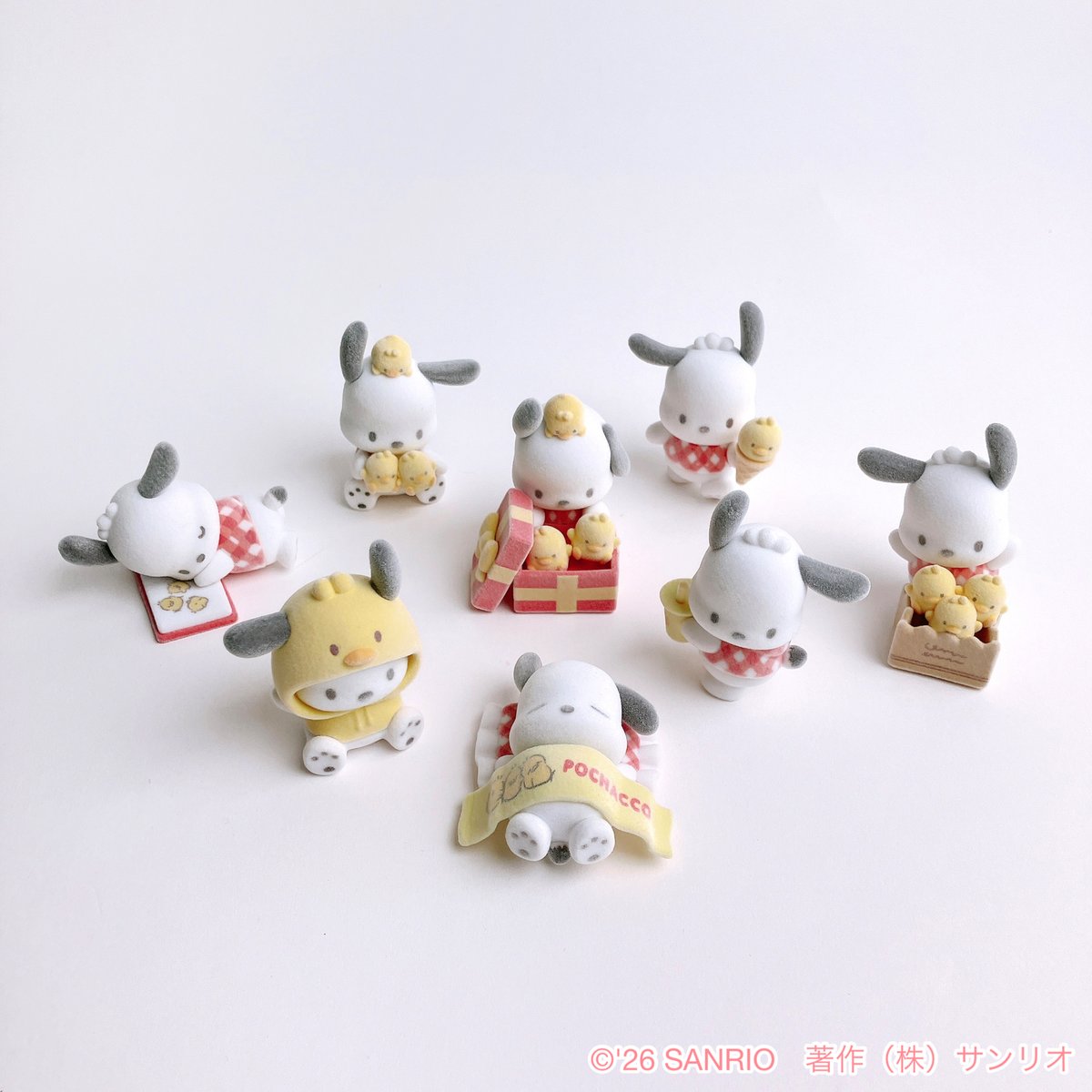 26日発売！#新商品 ✨ ／ ポチャッコ 大好きピーちゃんズデザイン