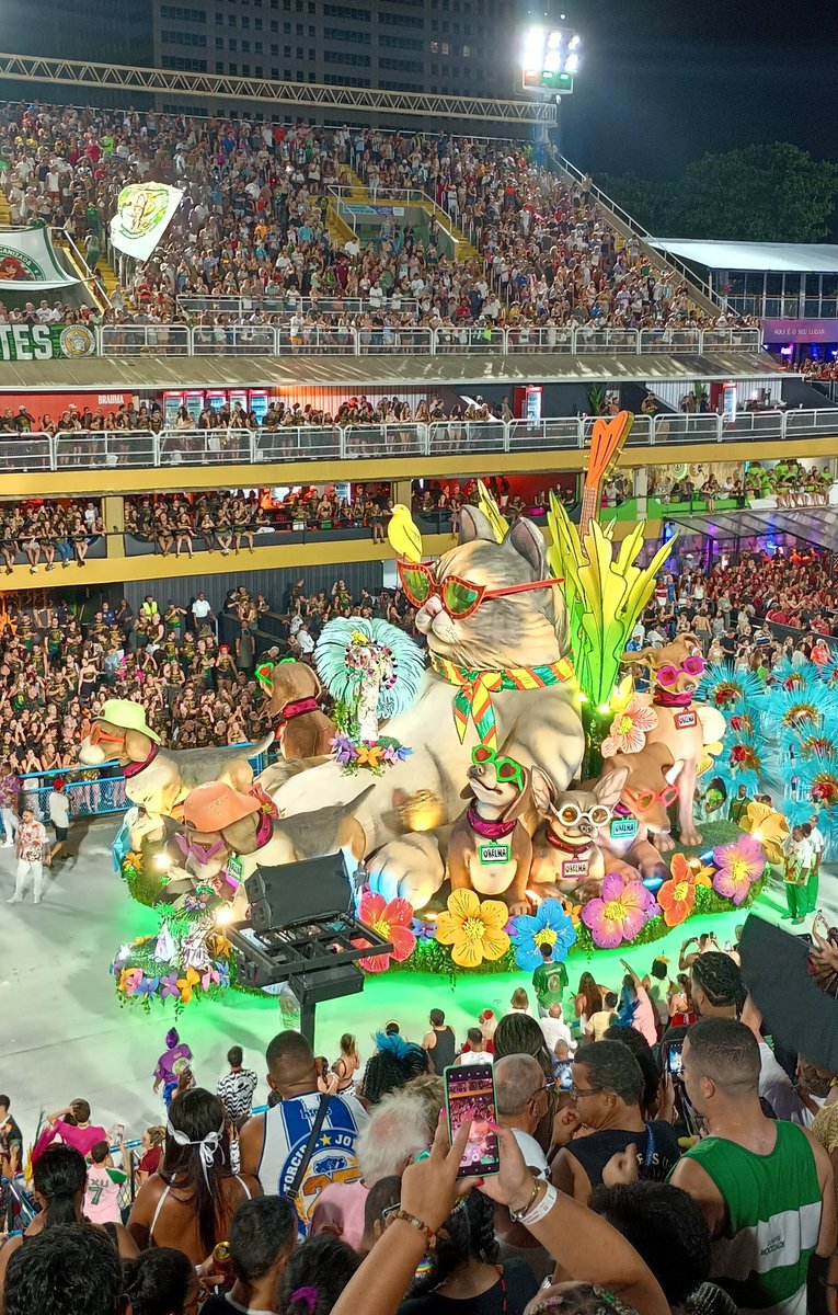 Barracão do Samba tweet media