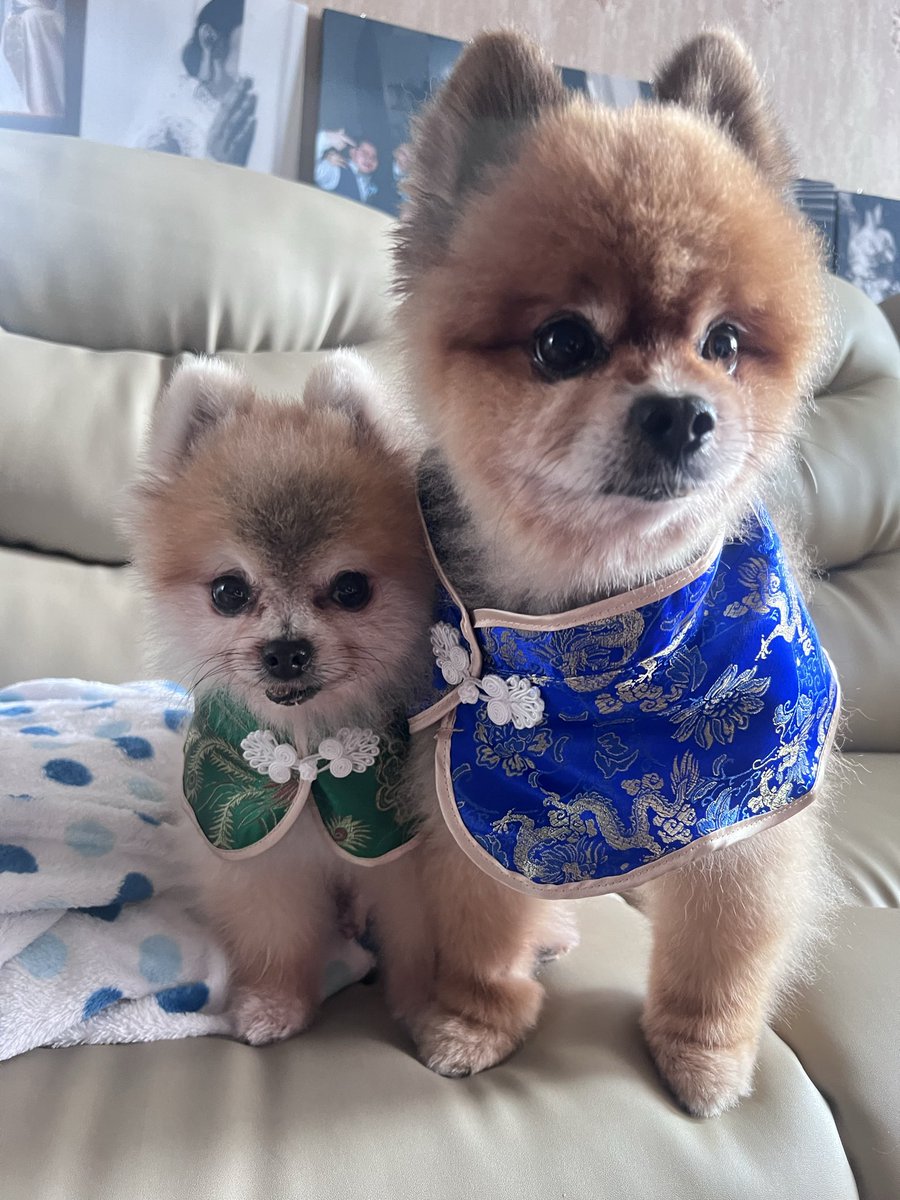 feli 🐔 ling tweet media