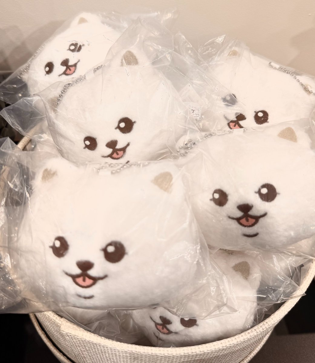 【映画 #ギヴン 海へ】より
【毛玉　ぬいたま（ぬいぐるみキーホルダー）】をご紹介🤗

まんまるフォルムが愛らしい「#毛玉」の手のひらサイズのぬいぐるみ✨
ふわふわの手触りと、じっと見つめる表情に思わずほっこり癒やされます🎶
バッグやポーチに付けて一緒にお出かけしたくなるアイテムです🐾