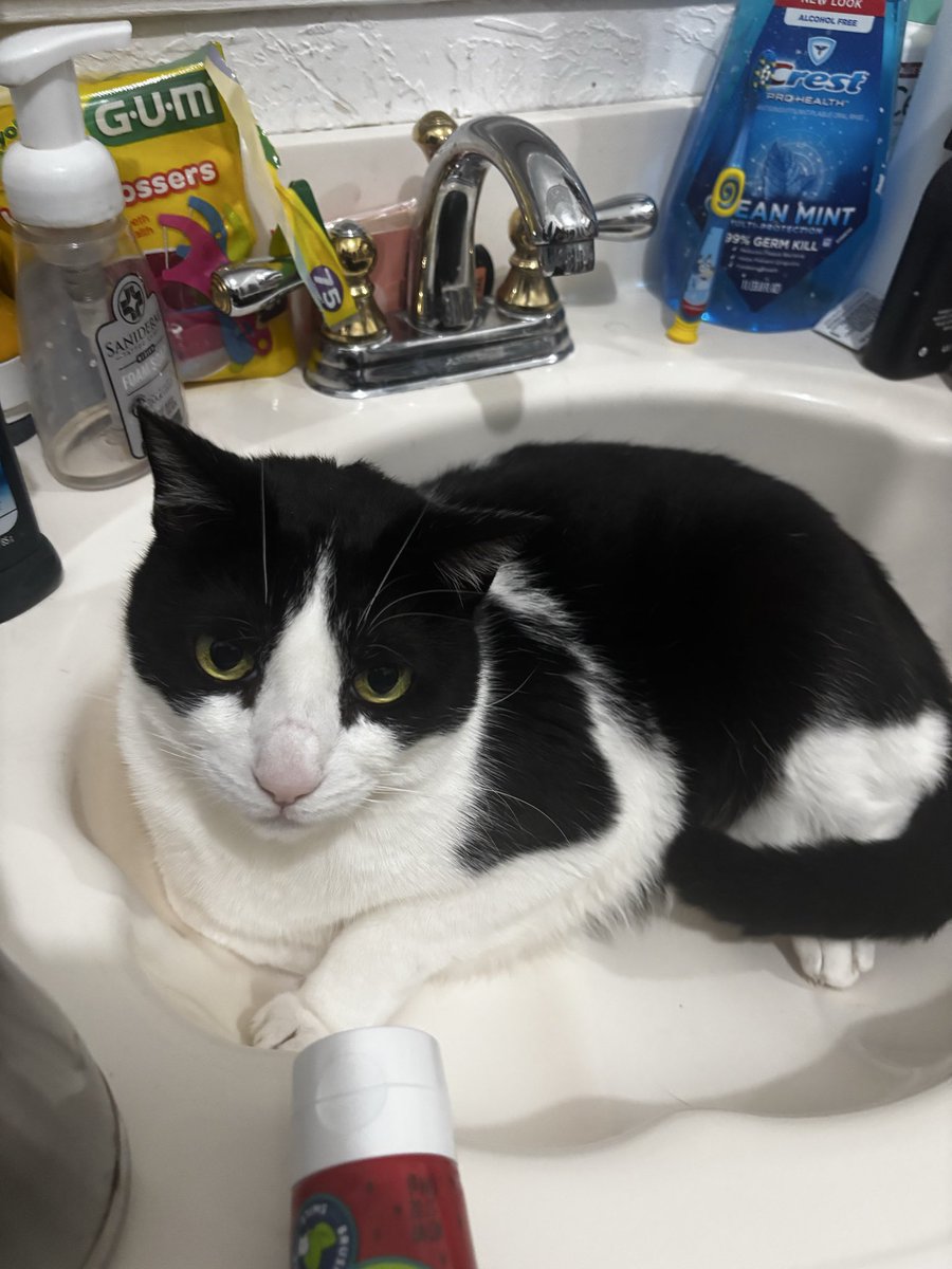 Every once in awhile, it’s fun to nap in sink