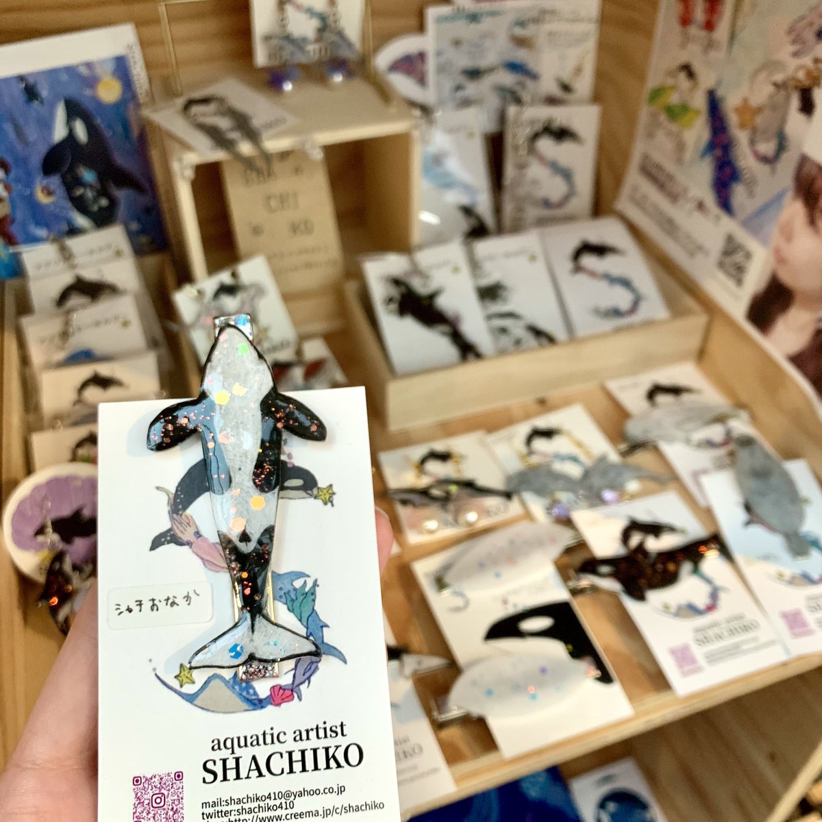 シャチ好きさんにはたまらない逸品たち🐟 キラキラしたイルカの仲間や