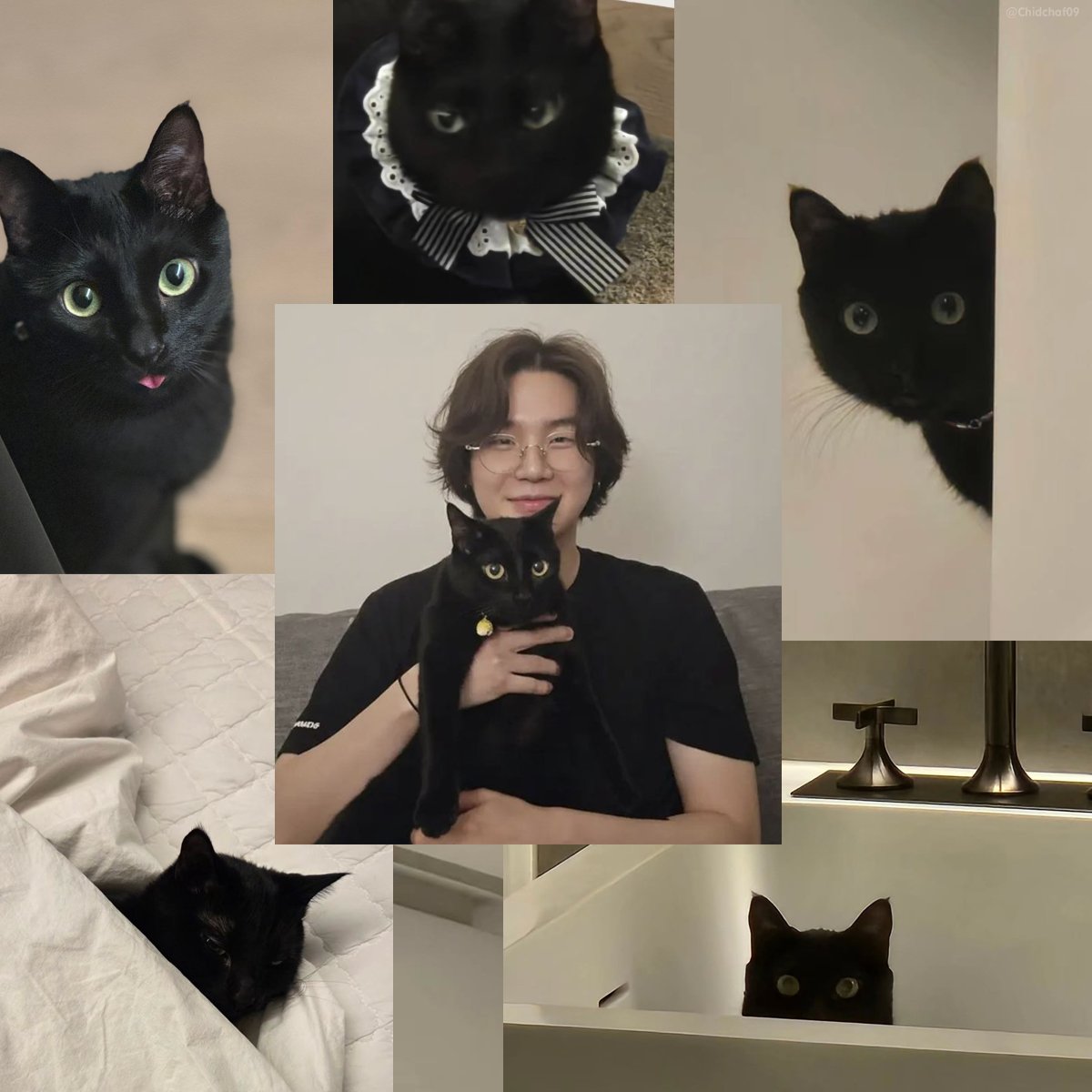 แรปโหด โหมดติดแมว