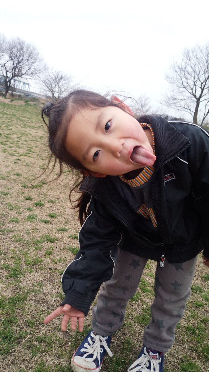 鷹の庵 4/11 千葉県柏市 「道の駅しょうなん」 鷹匠体験+フライトショー tweet media