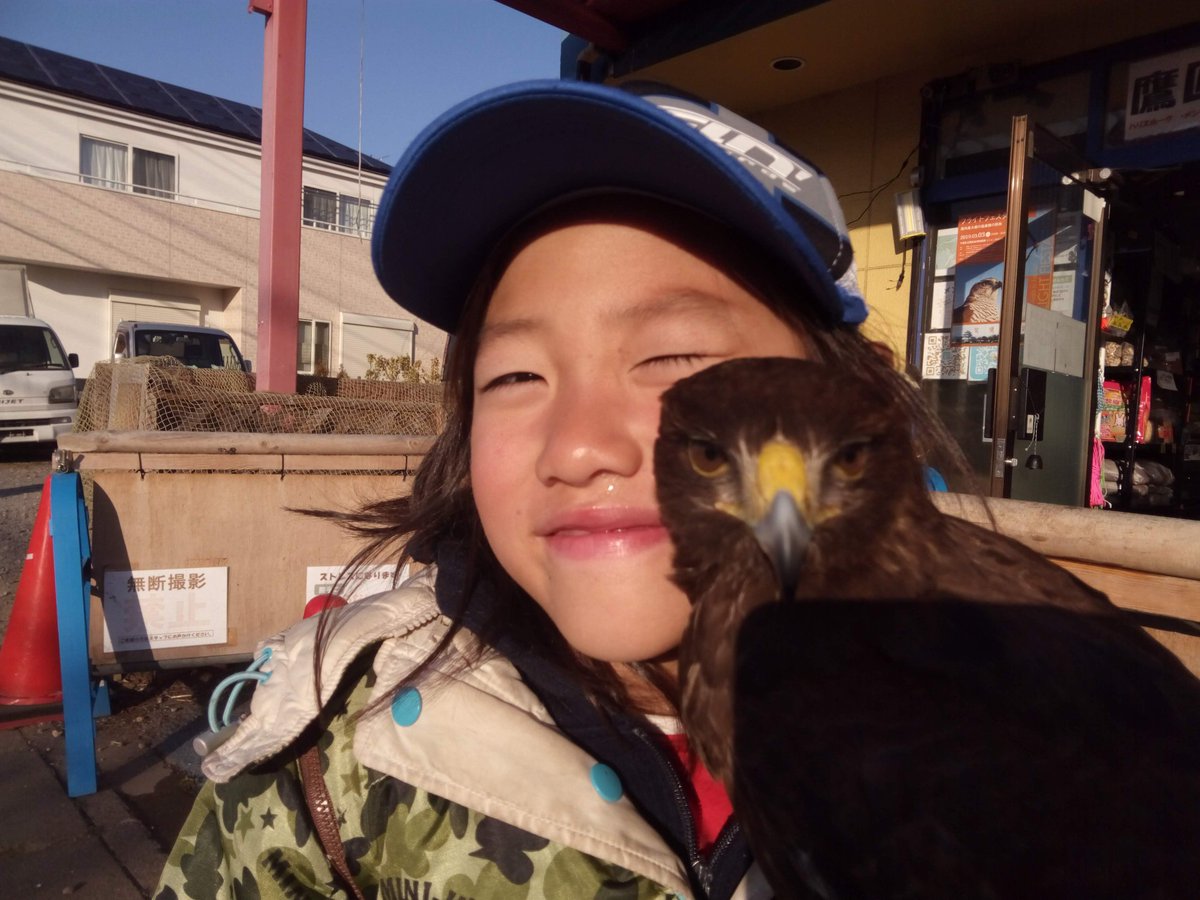 鷹の庵 4/11 千葉県柏市 「道の駅しょうなん」 鷹匠体験+フライトショー tweet media