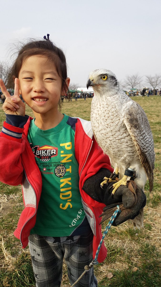 鷹の庵 4/11 千葉県柏市 「道の駅しょうなん」 鷹匠体験+フライトショー tweet media