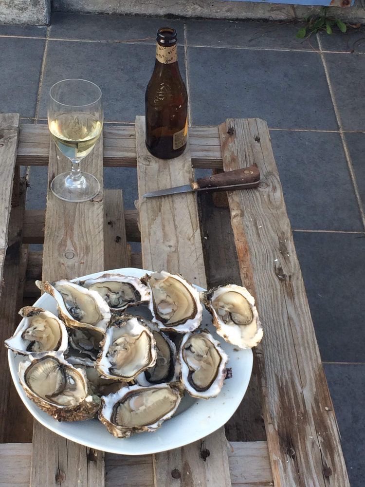 cigaro solis tweet media