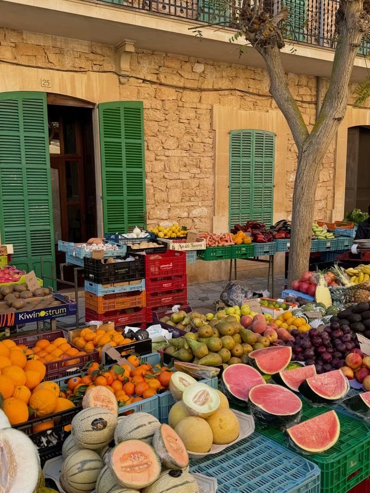 cigaro solis tweet media