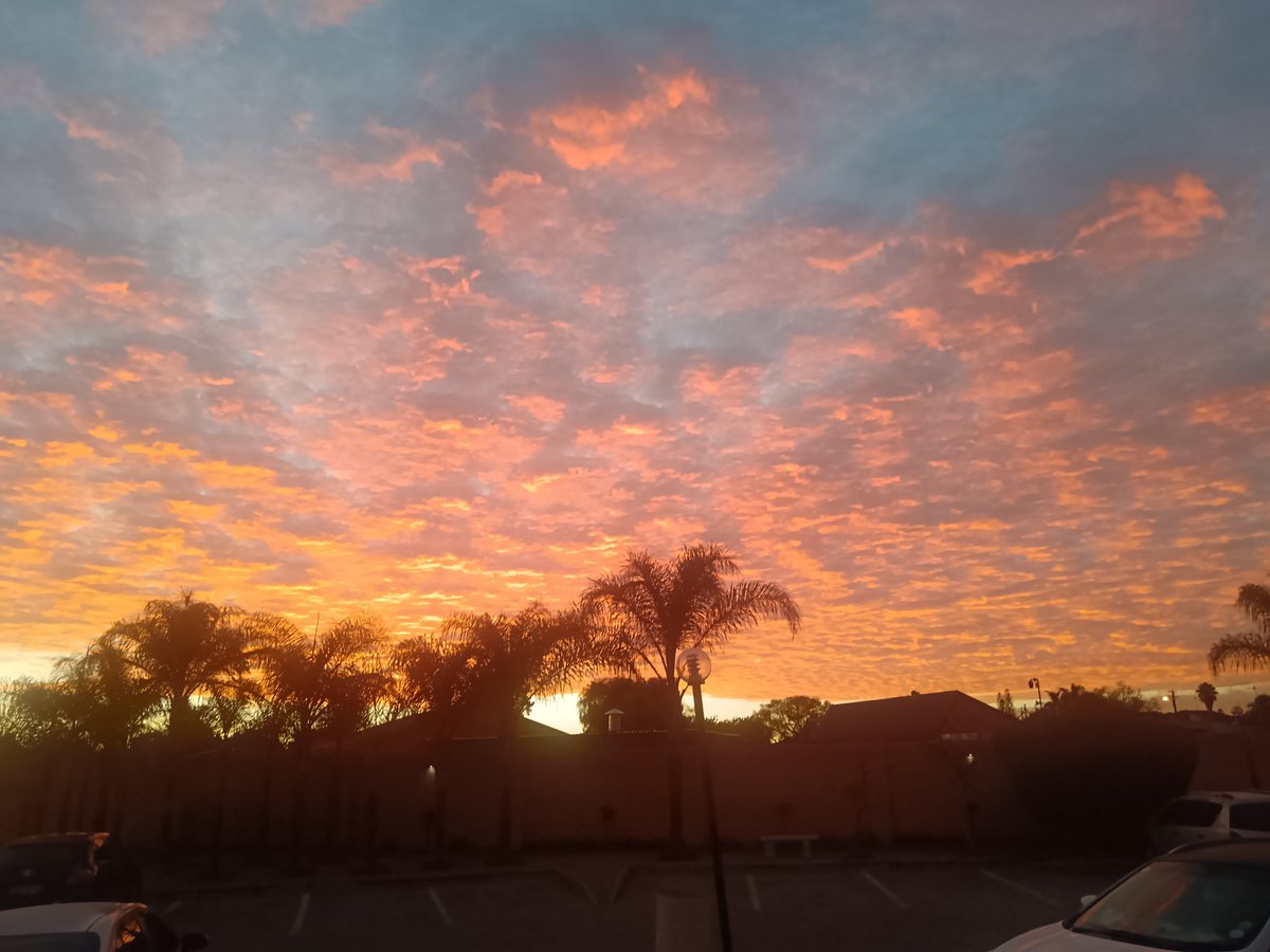 Muhammed Ravat tweet media