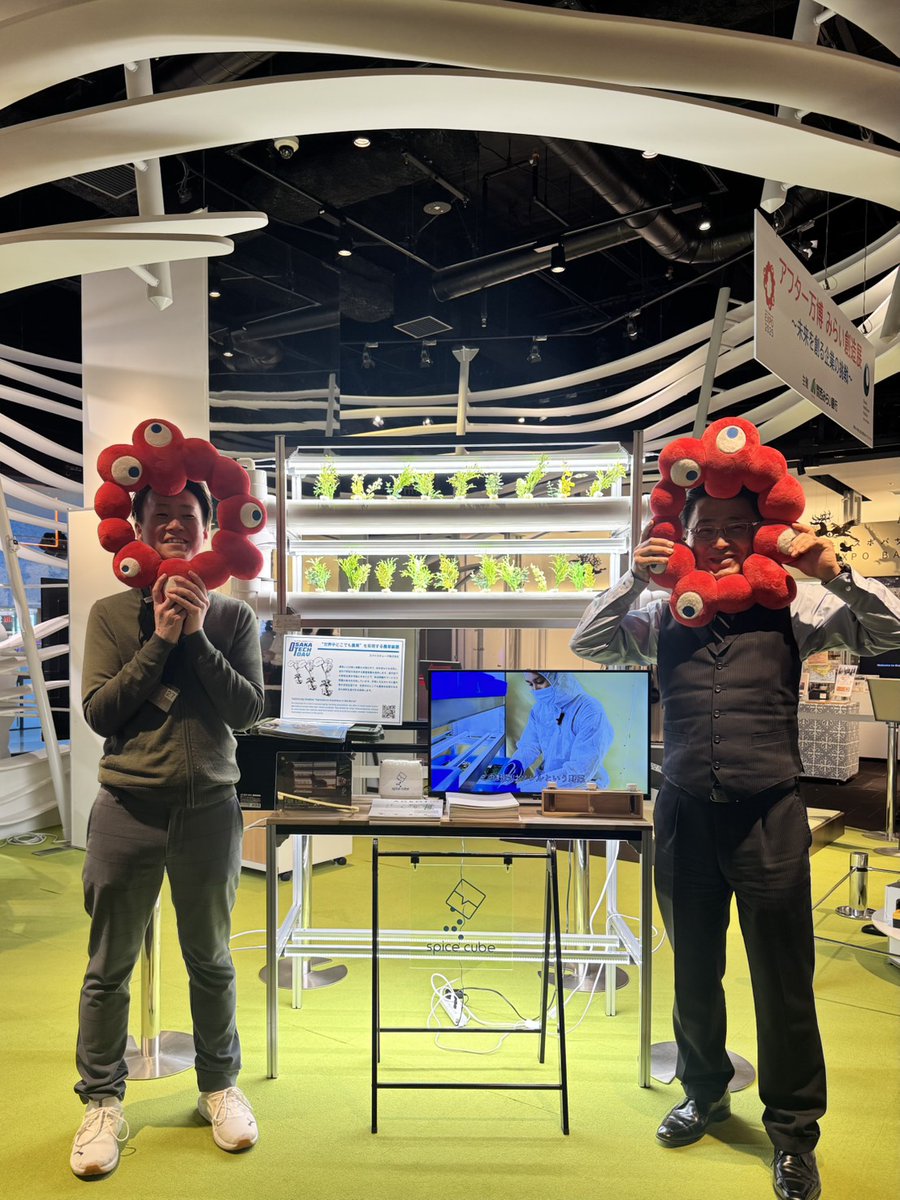 スパイスキューブ株式会社 tweet media