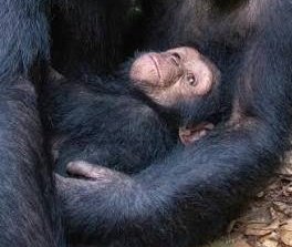 mathewy 🇮🇩 tweet media