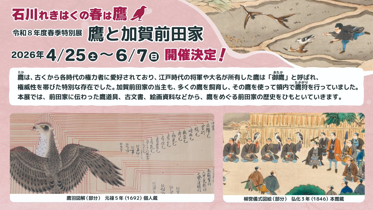 特報／ 🪶🪶石川れきはくの春は鷹🪶🪶 令和8年度春季特別展「鷹と加賀