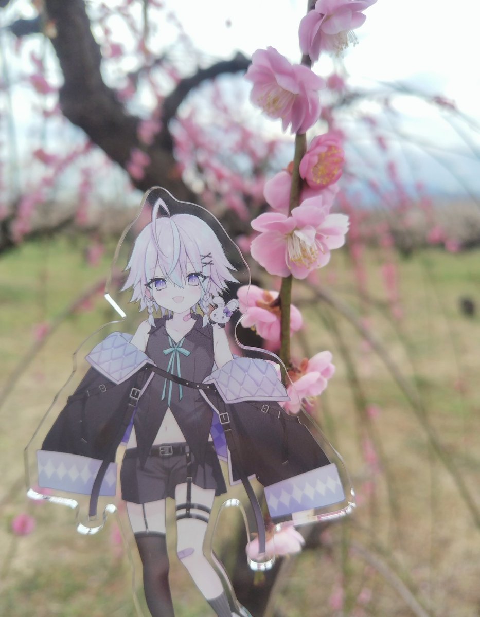 夕凪🍅@限界推し活バーサーカー tweet media