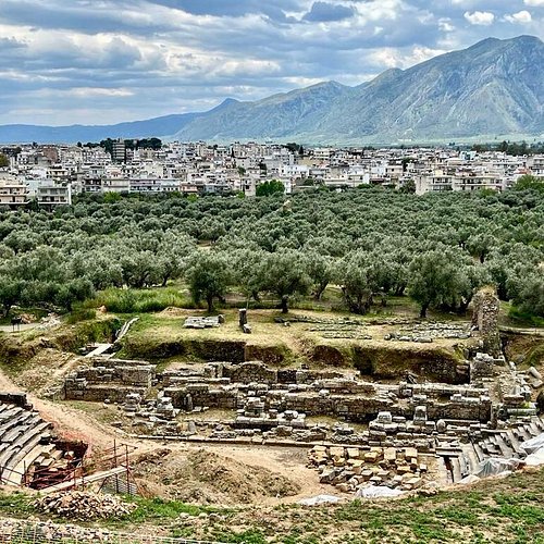 ChrisO_wiki tweet media