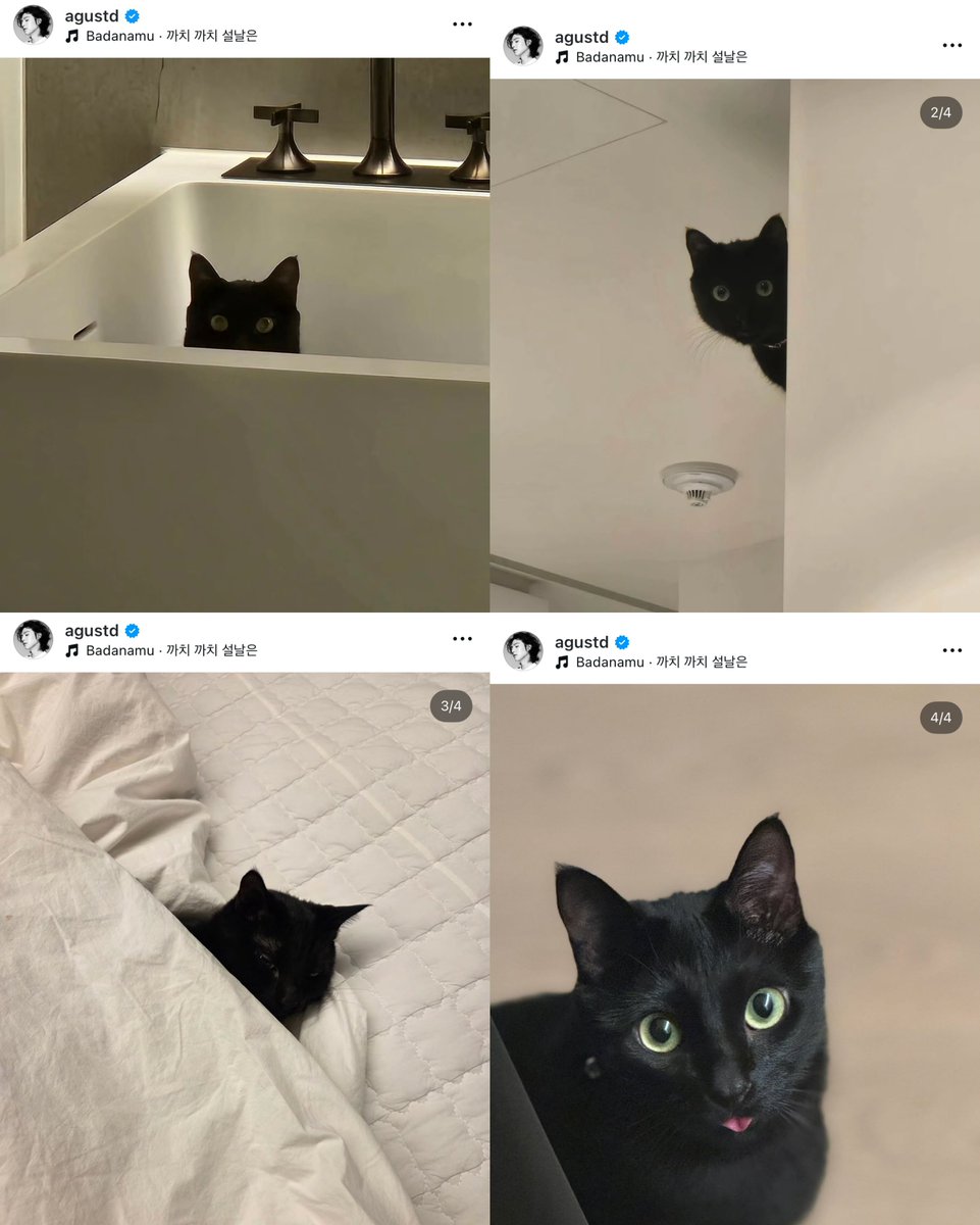 แรปเปอร์ทาสแมว 555555 เอ้นดูอะ