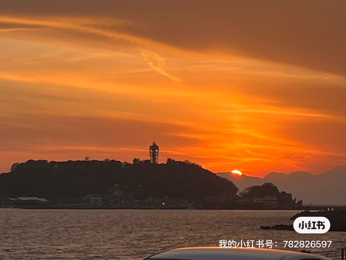 aniceday15's tweet photo. 东京！东京！ https://t.co/Cc7AwR7lre