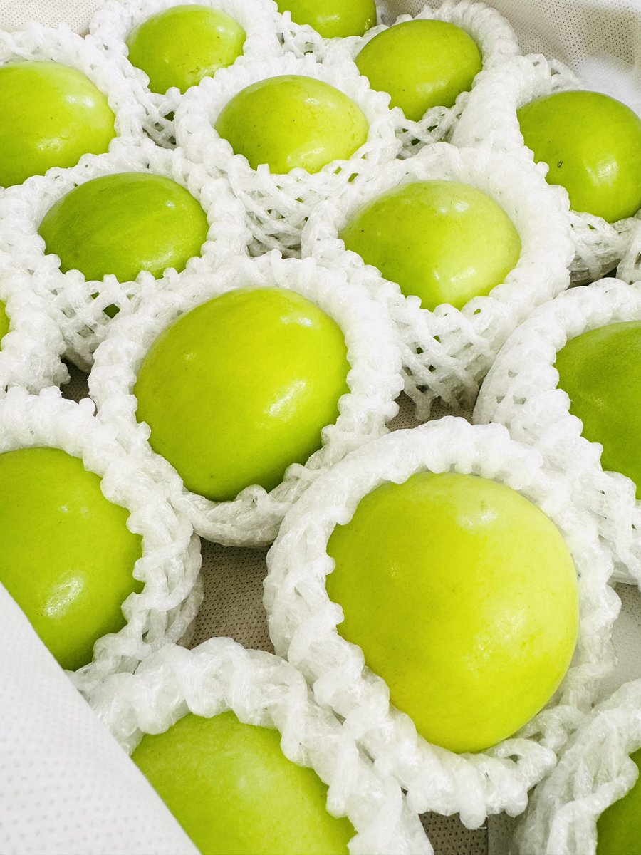 私はこれが好きすぎて困るので、黙っておきます🤭