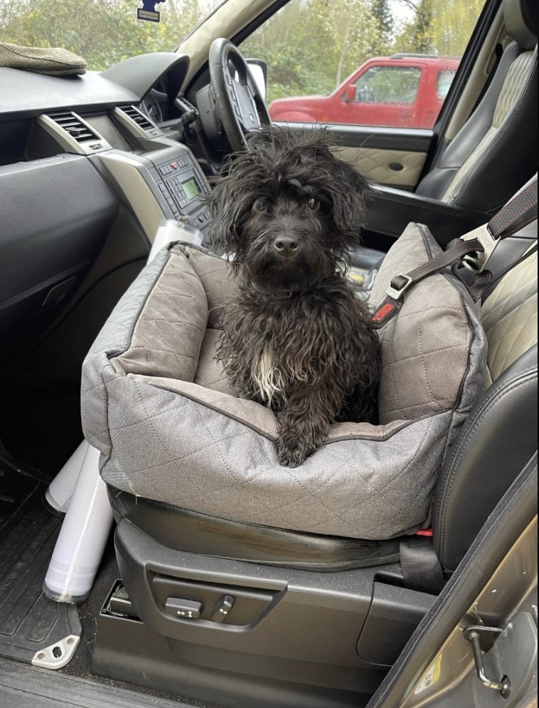 Christopher Talbot tweet media