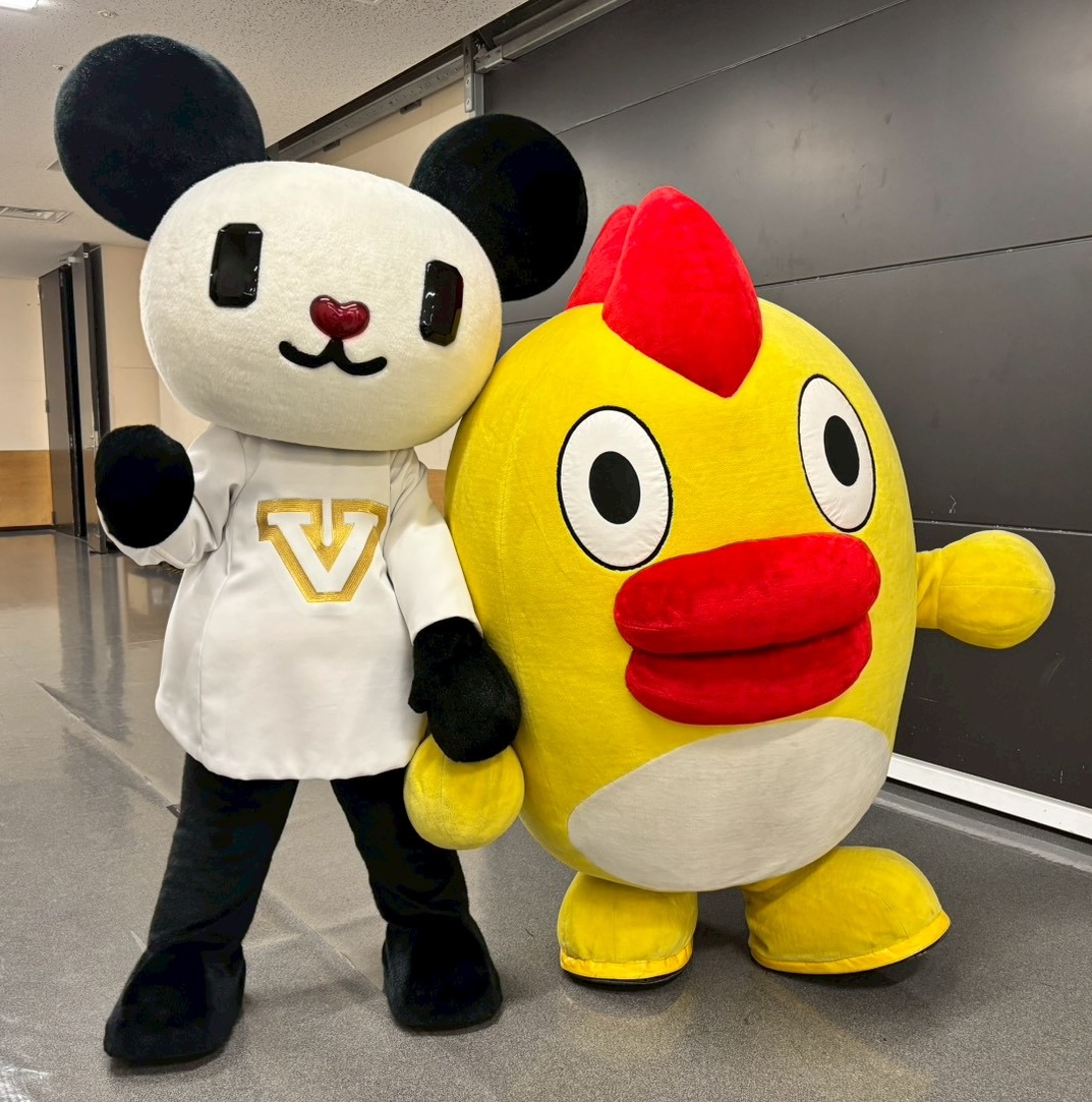 ゴーちゃん。 (@gochan_V) / Posts / X