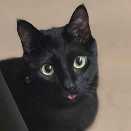 tetebbi's tweet image. animation                                      real life