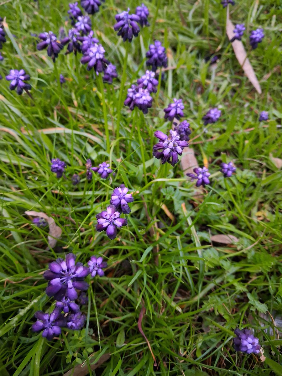 Τα πρώτα μηνύματα