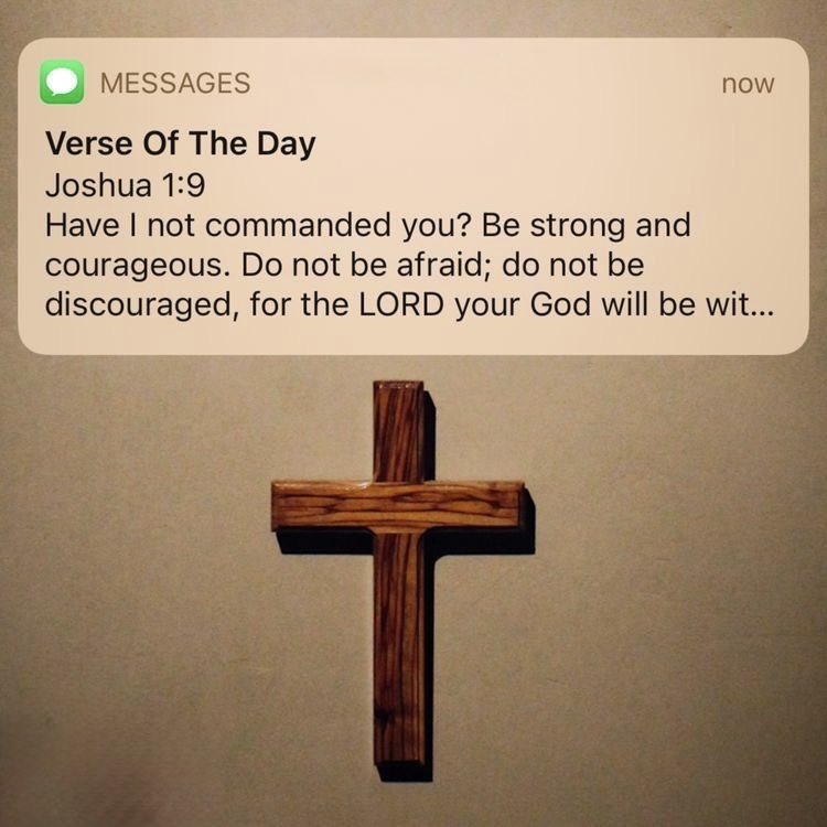 Holy Bible (@holy__bible1) on Twitter photo 