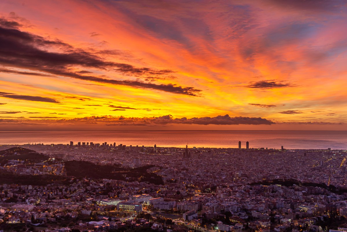 Alfons Puertas tweet media